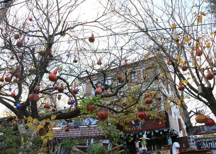 Manolian Sirince Selçuk