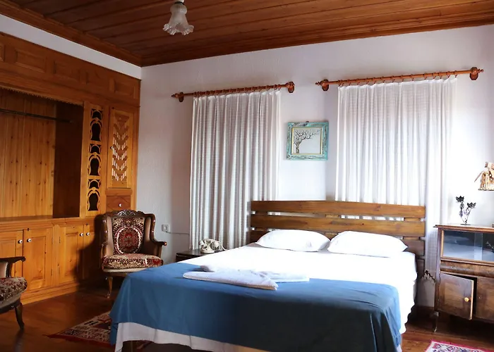 Hotel Manolian Sirince 3*