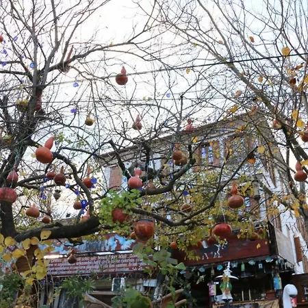 Manolian Sirince 셀주크